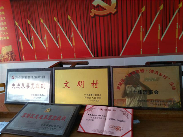 图片上传成功