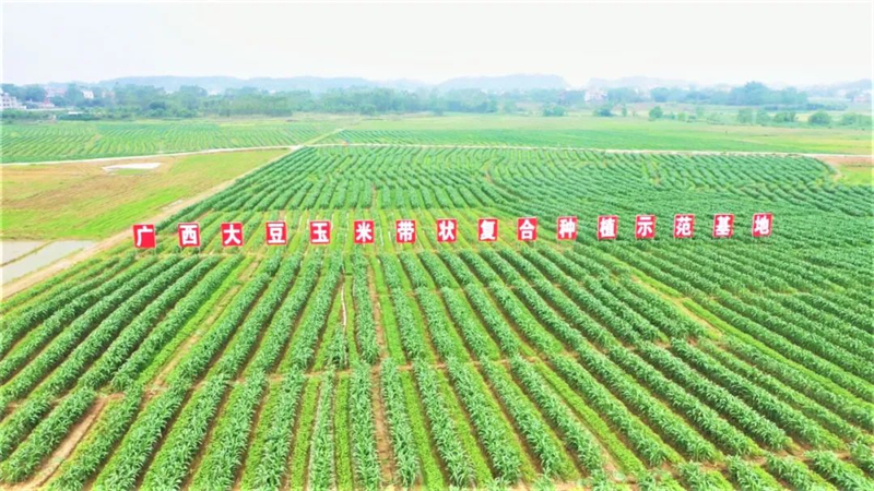 微信图片_20220506112504.jpg