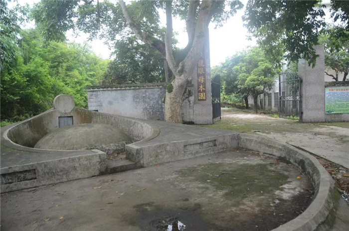 图片上传成功 覃敬清的墓地就在母本园前.jpg