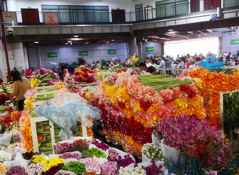 9  斗南花卉市场是亚洲最大的鲜花交易市场_副本.jpg