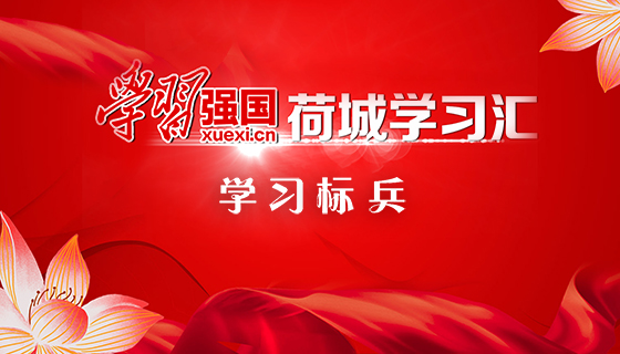 学习标兵视频