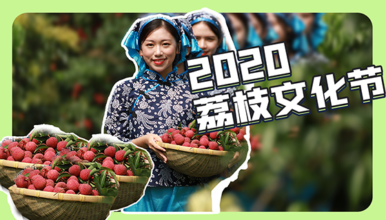 荔枝红了--2020年港北区荔枝文化节
