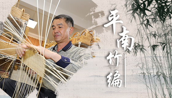 平南竹木芒藤