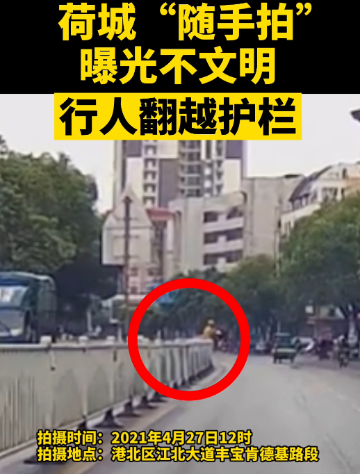 荷城”随手拍“曝光不文明 行人翻越护栏