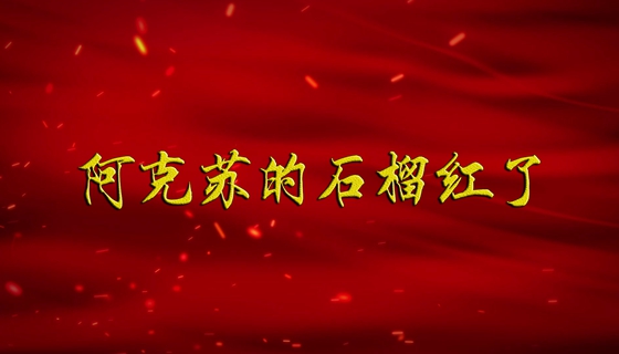 【广播剧展播】《阿克苏的石榴红了》第3集