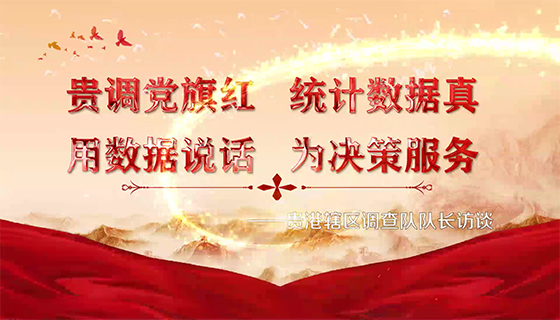 贵调党旗红 统计数据真 用数据说话 为决策服务——贵港辖区调查队队长访谈