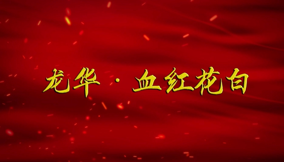 【广播剧展播】《龙华·血红花白》第4集