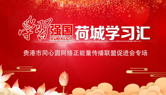 “学习强国”荷城学习汇贵港市同心圆网络正能量传播联盟促进会专场