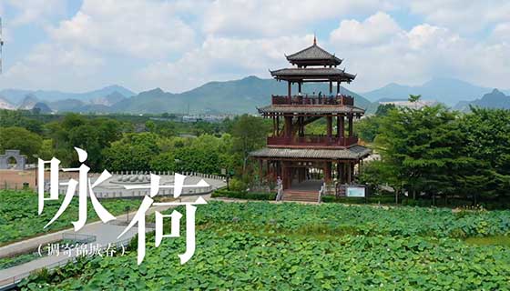 《咏荷——本土粤剧音乐电视》