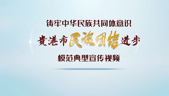 铸牢中华民族共同体意识 | 贵港市民族团结进步模范典型宣传视频