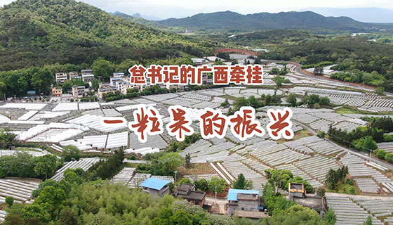 总书记的广西牵挂 | 第一篇：《一粒果的振兴》