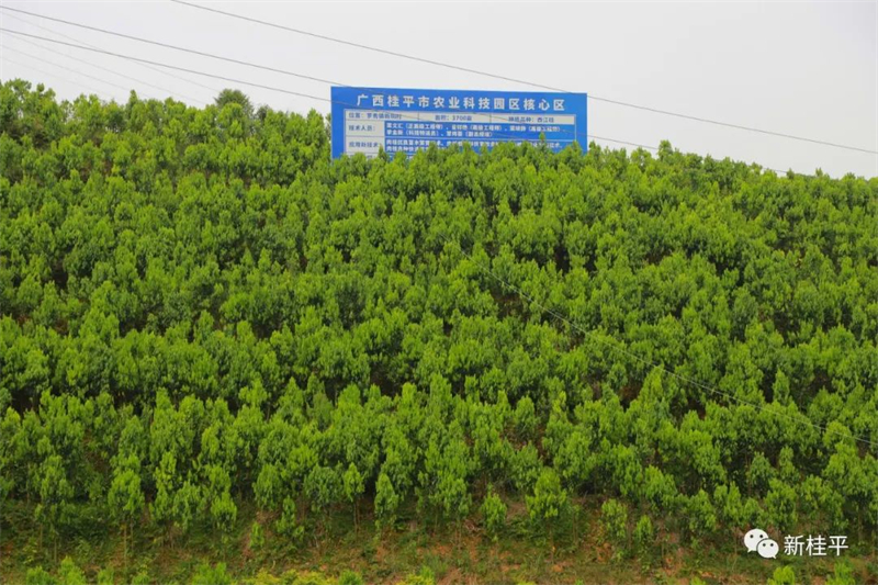 微信图片_20220507110924.jpg