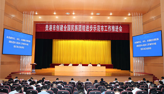 贵港市创建全国民族团结进步示范市工作推进会议召开