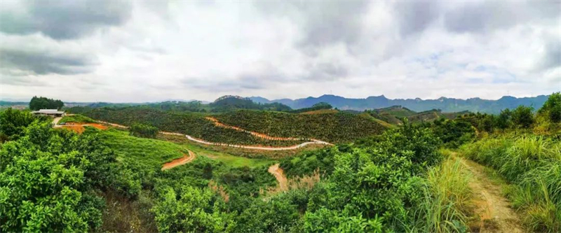 微信图片_20220522113310.jpg